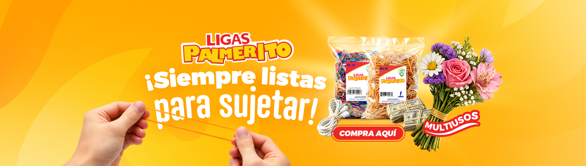 Banners Web_03