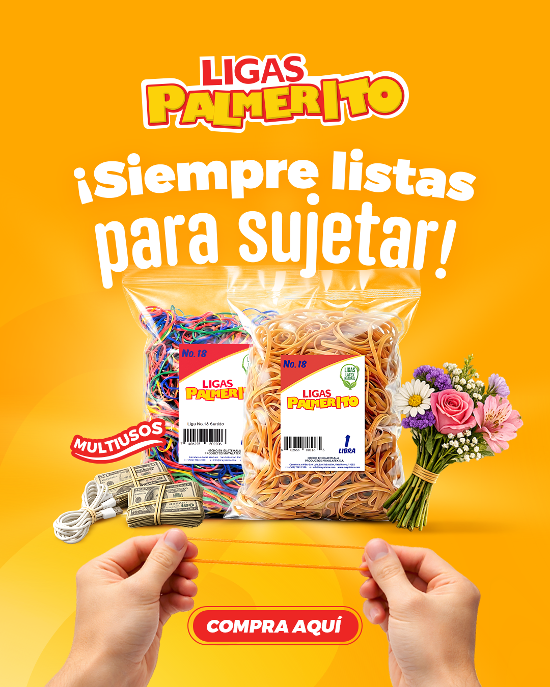 Banners Web_03M