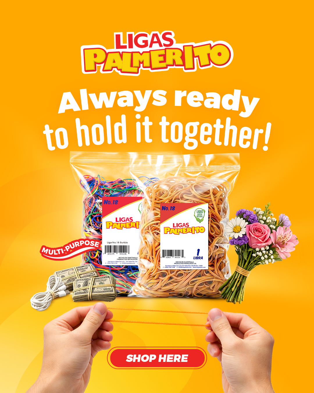 Banners Web_03Menglish